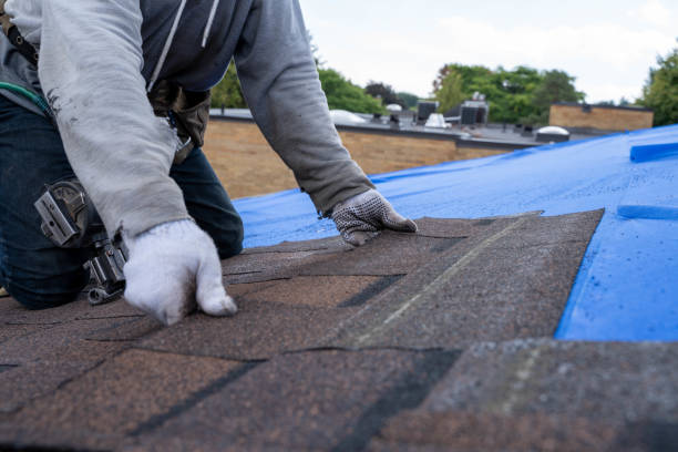Best Commercial Roofing Services  in Nroe City, MO